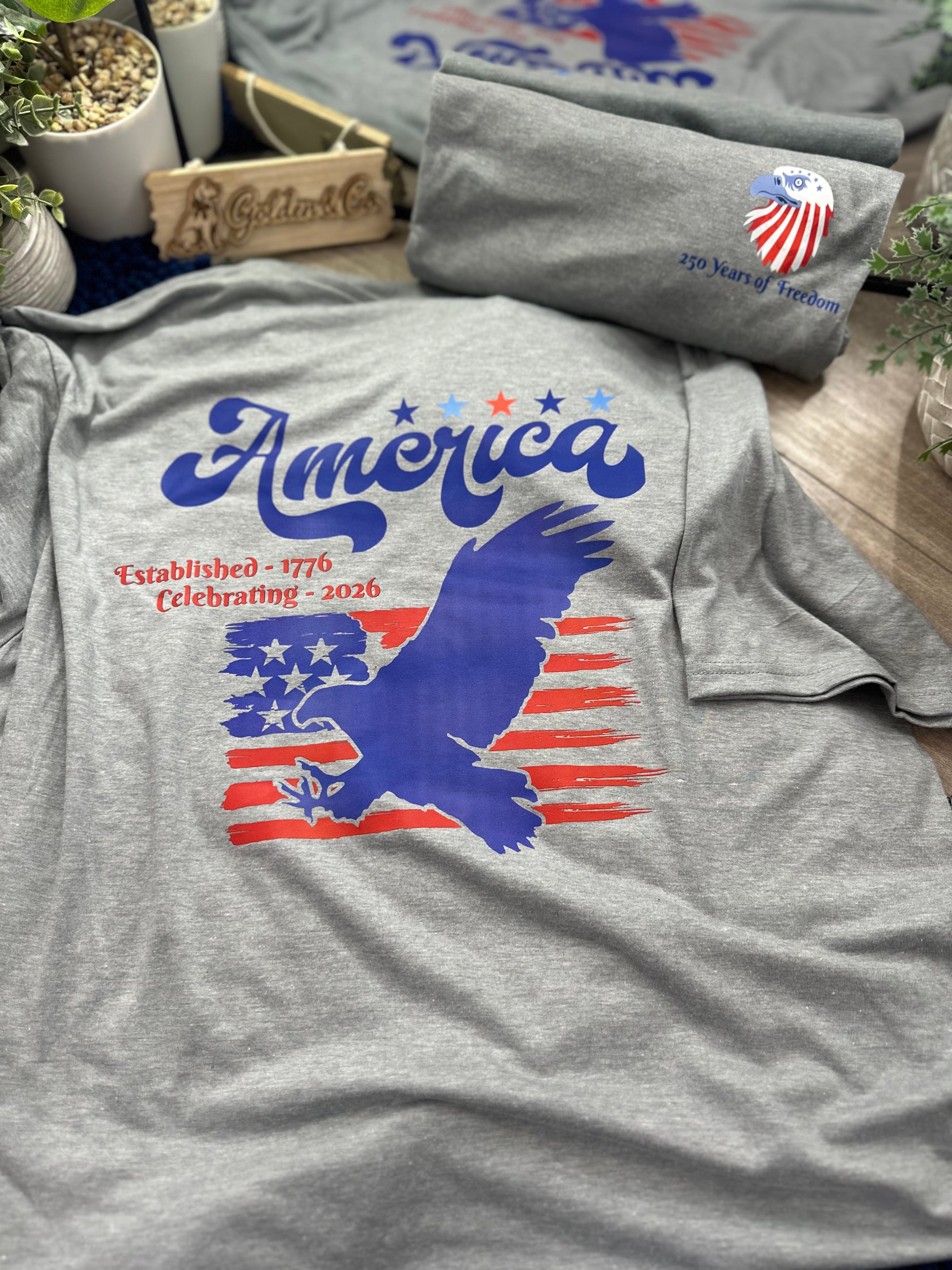 America Eagle Freedom Tee